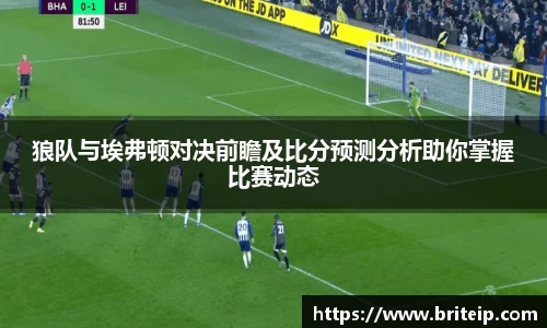 狼队与埃弗顿对决前瞻及比分预测分析助你掌握比赛动态